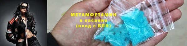 прущие грибы Волосово