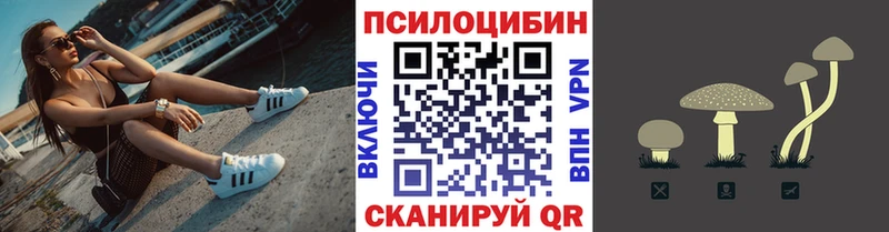 Псилоцибиновые грибы Magic Shrooms Серпухов